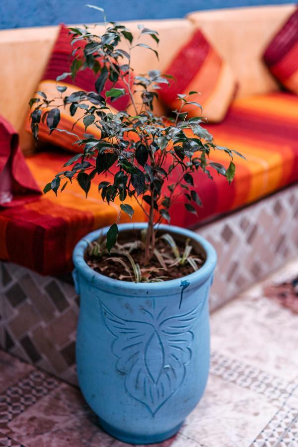 Riad Borj Jamaa Lafna Marrakesh Luaran gambar